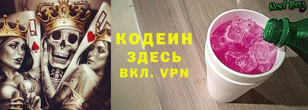 молекула духа Белоозёрский
