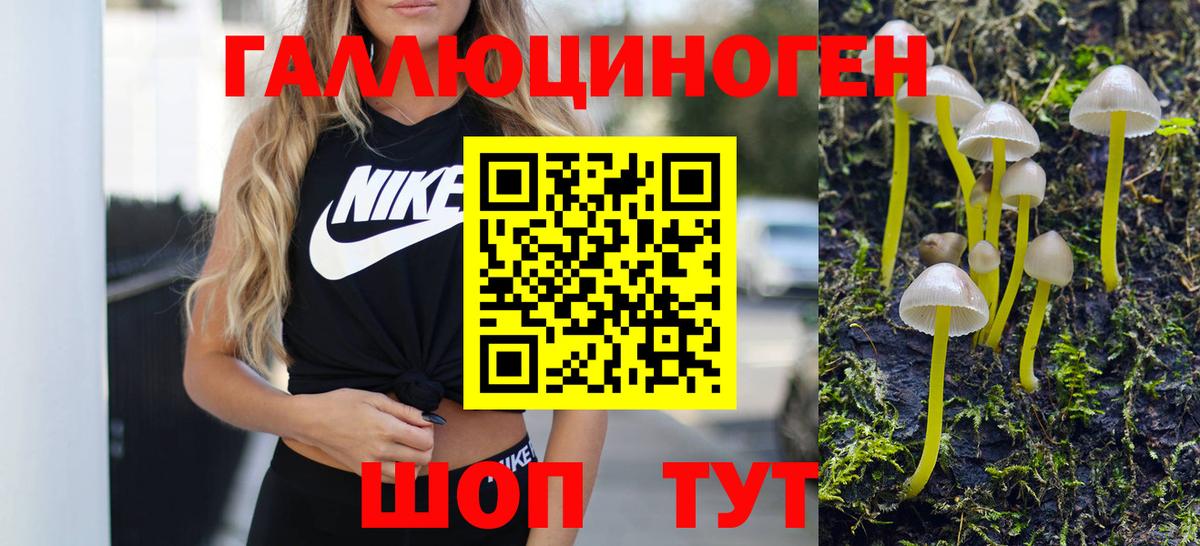 Псилоцибиновые грибы ЛСД Долгопрудный