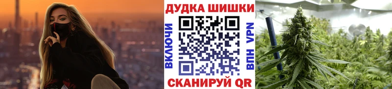 закладки Долгопрудный Конопля семена